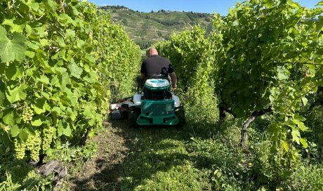 Vente ou location de tondeuses débrousailleuses auto-portées à Vienne