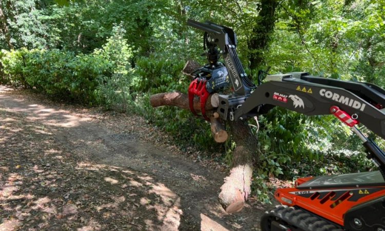 Porte-outils CORMIDI pour activité élagage - BR.MAT à Condrieu