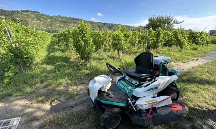 Location et vente de tondeuses débrousailleuses auto-portées à Vienne